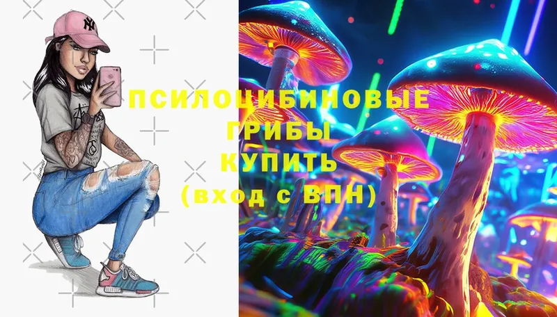 Галлюциногенные грибы Cubensis  купить   Рыбинск 